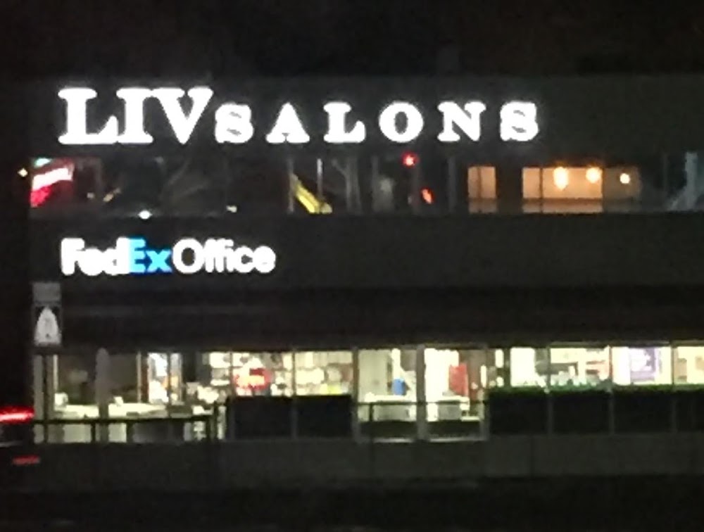 Liv Salons