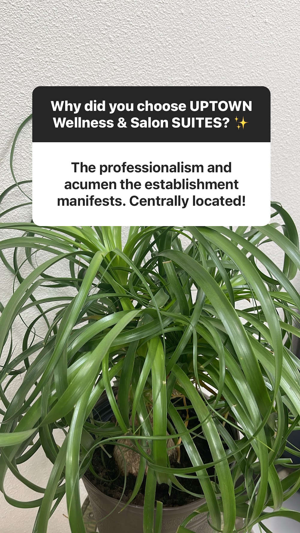 Uptown Wellness & Salon Suites
