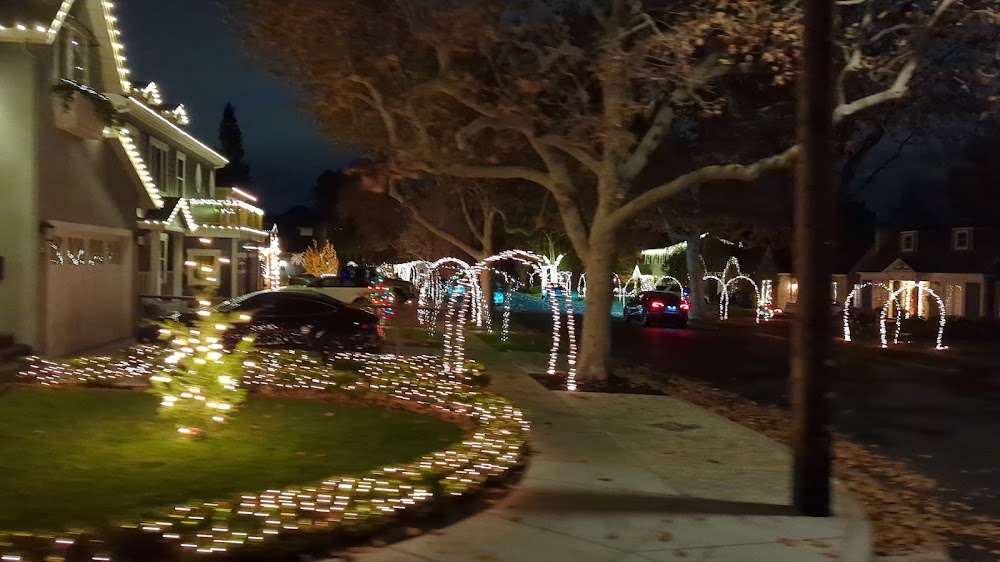 Willow Glen