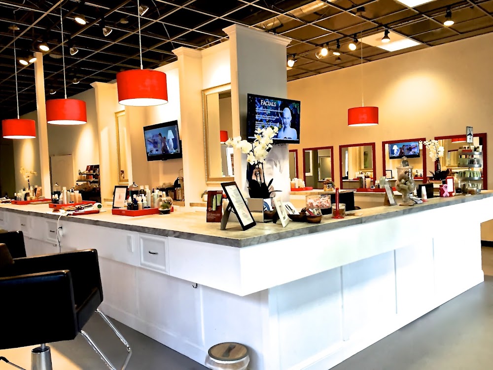 The Concept Salon